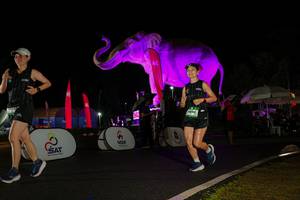 BIB: 
                            <button type="button" onclick="openModal(26544279)" class="btn btn-primary btn-sm float-right btn-popup" data-toggle="modal" data-target=".modal-high-quality">
                        <i class="fas fa-shopping-cart"></i> Add to Cart
                    </button>
                                            <button type="button" onclick="isThisMe(26544279, true)" class="btn btn-success btn-sm float-right btn-popup btn-isme hidden" data-toggle="tooltip" data-placement="bottom" title="นี่คือรูปของคุณใช่ไหม คลิกที่นี่เพื่อเอาเข้าอัลบั้ม">
                        <i class="fas fa-plus"></i> Add to album
                    </button>
                    <button type="button" onclick="isThisMe(26544279, false)" class="btn btn-warning btn-sm float-right btn-popup btn-isnotme hidden">
                        <i class="fas fa-ban"></i> Remove from album
                    </button>